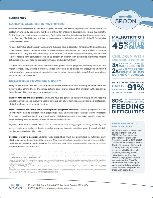 Screenshot of our 2025 advocacy brief